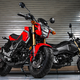 Illustration for article titled Everyone's Favorite Micro-Sized Motorcycle Will Look Different This Year